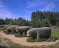 Toros de Guisando a 12 km 